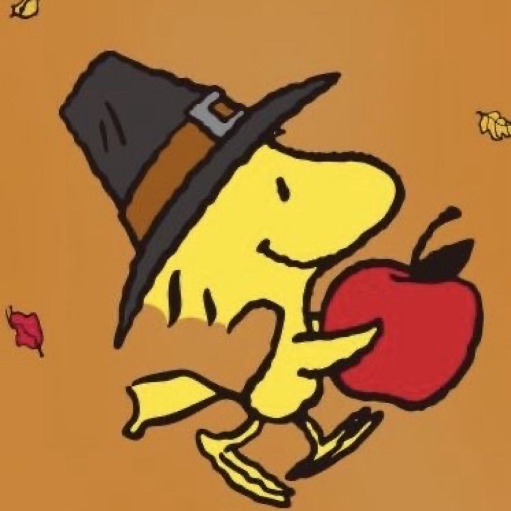 🍂Squash🍂