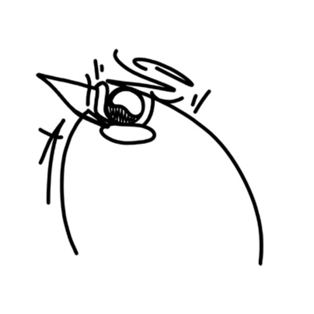 Lints