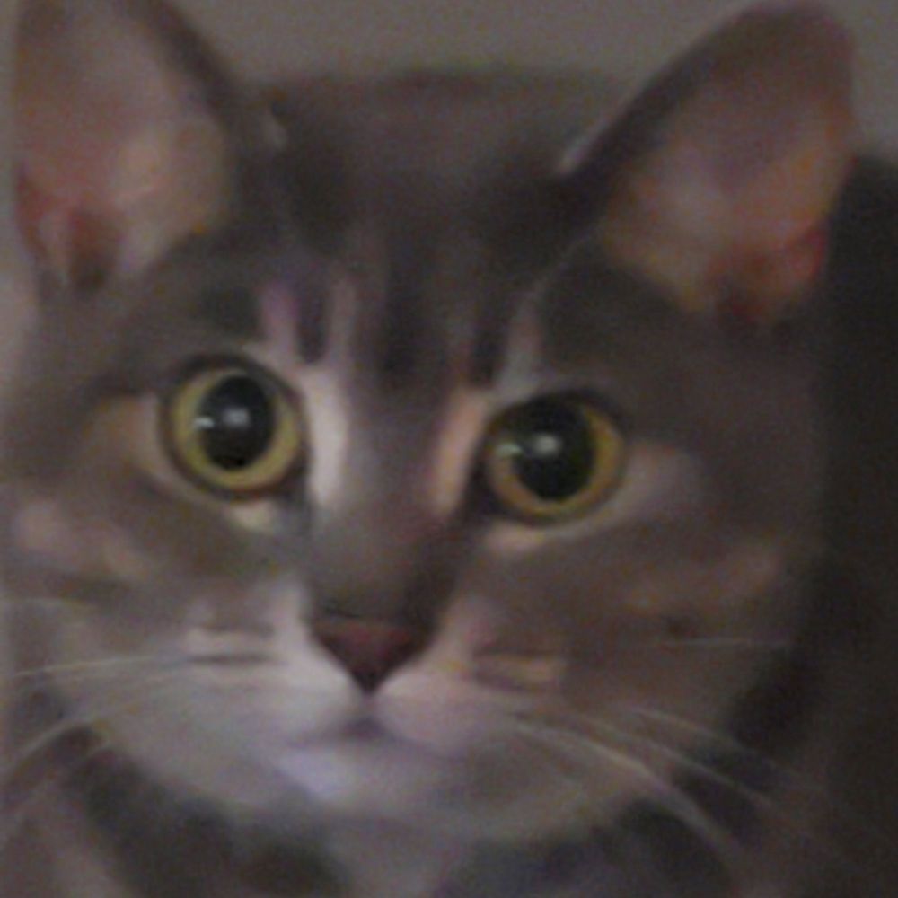 Gigi