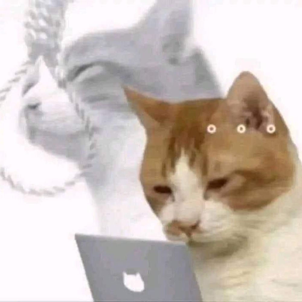 Ягодный чай