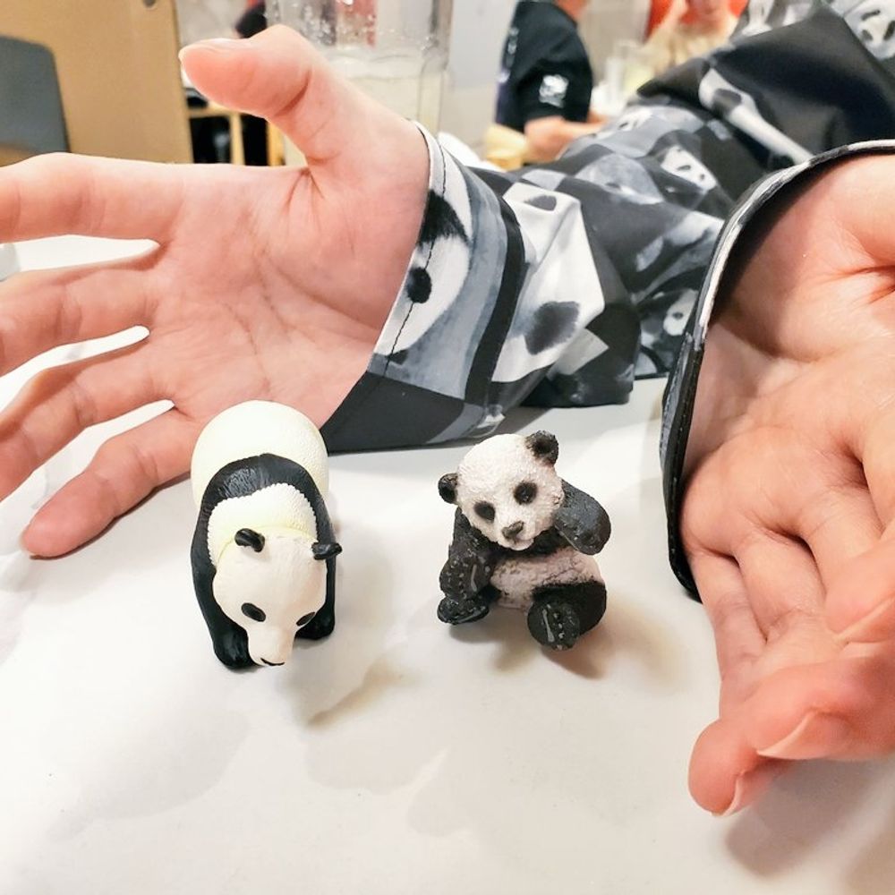 🐼