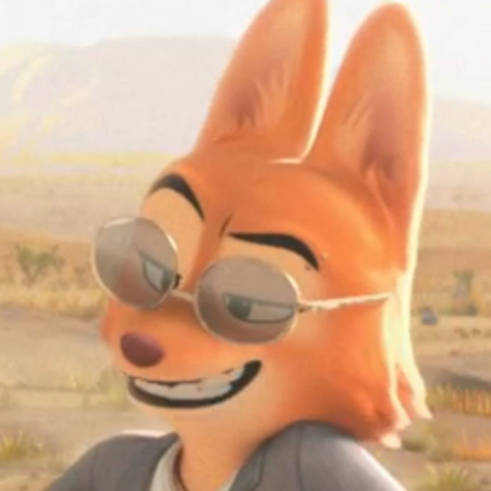 mr cool 🦊