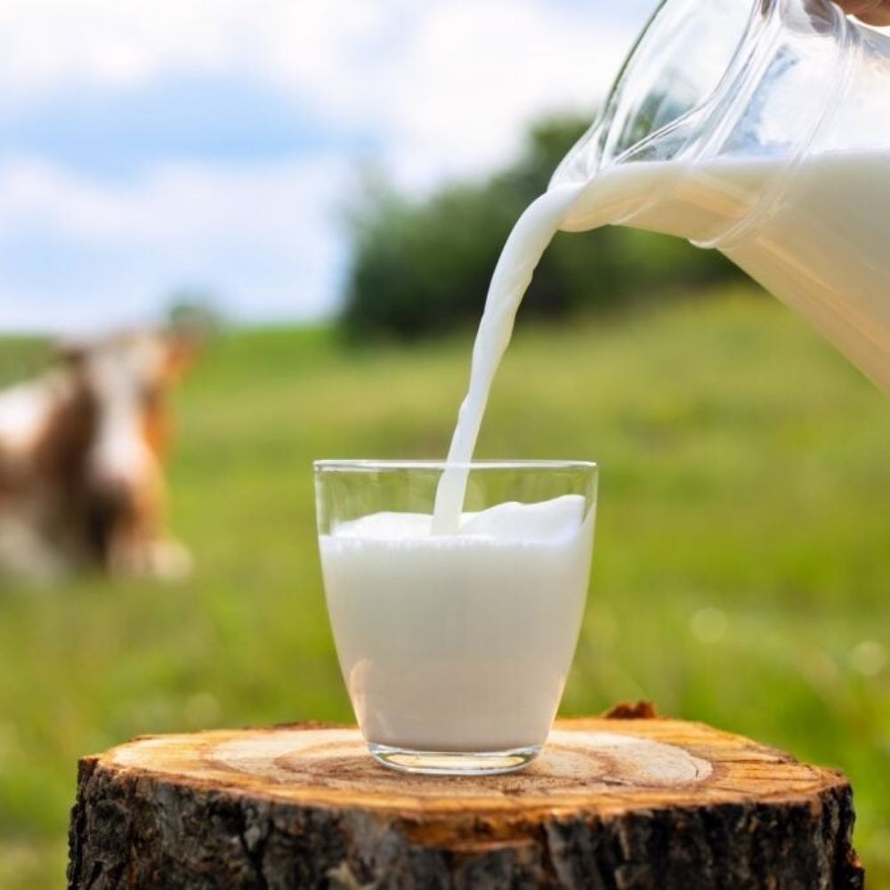 Milkdividual