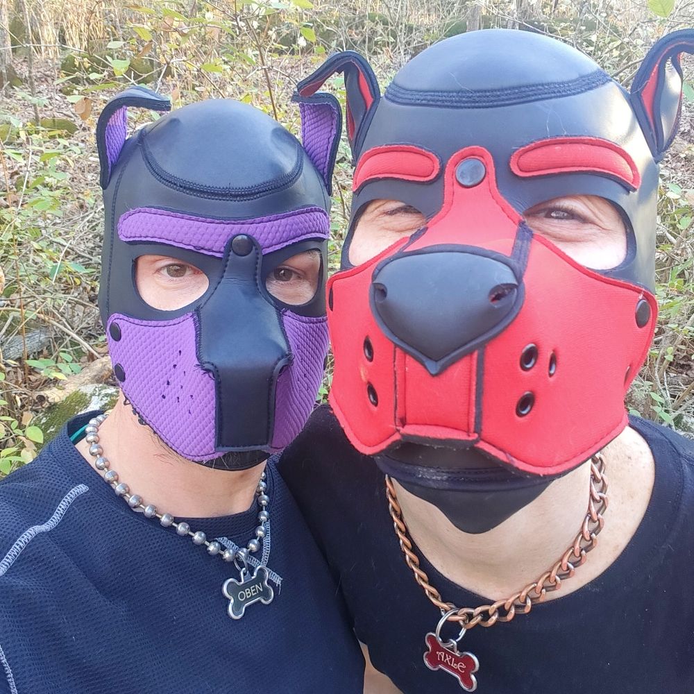 Pup Oben