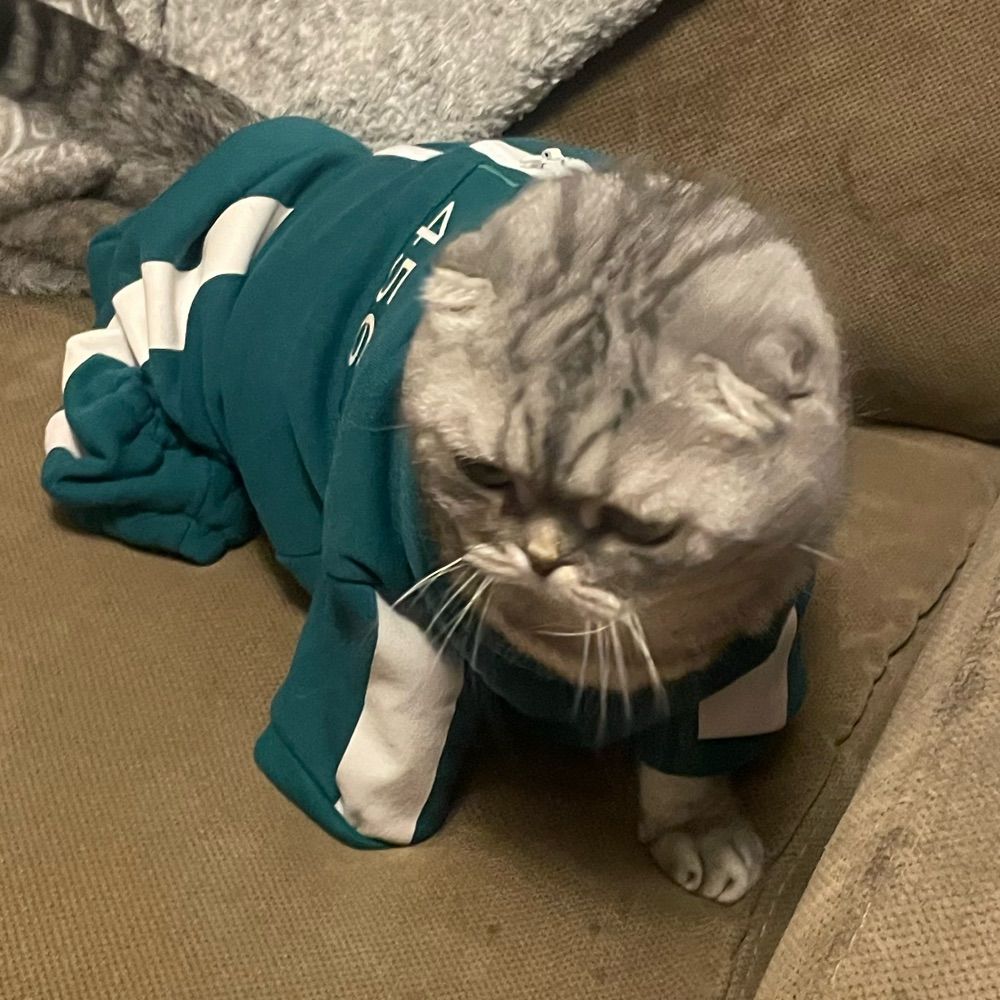 Seymour Whiskers