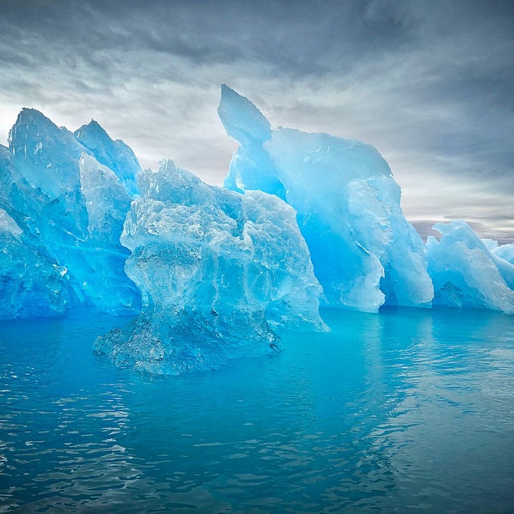 Icecold Davis