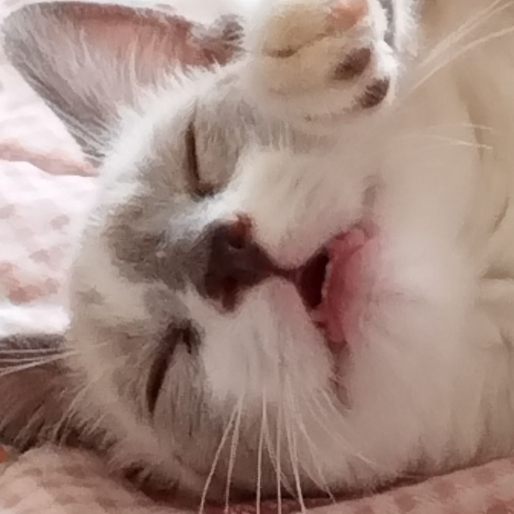 Sandra