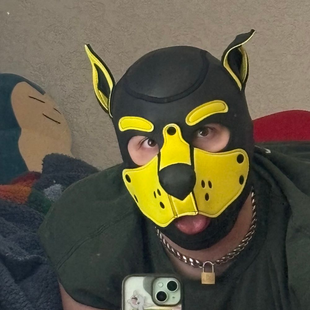 ( ͡° ᴥ ͡° ʋ) Pup_Wibble