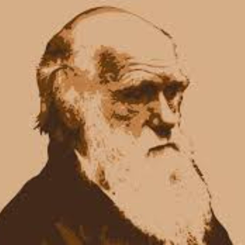 Evolutionary Social Psychology