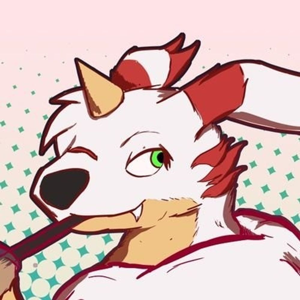 Tanner🔜CFZ