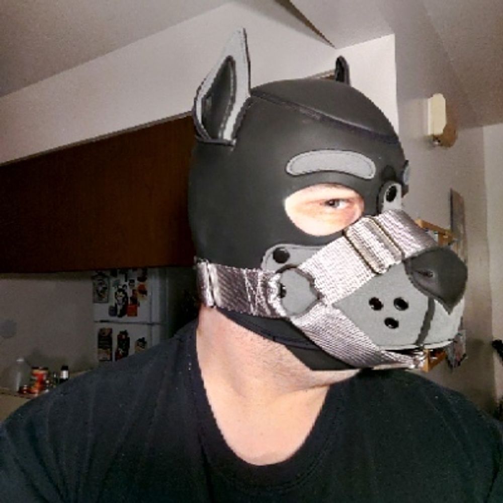 Z Wolf @ Camp Crucible
