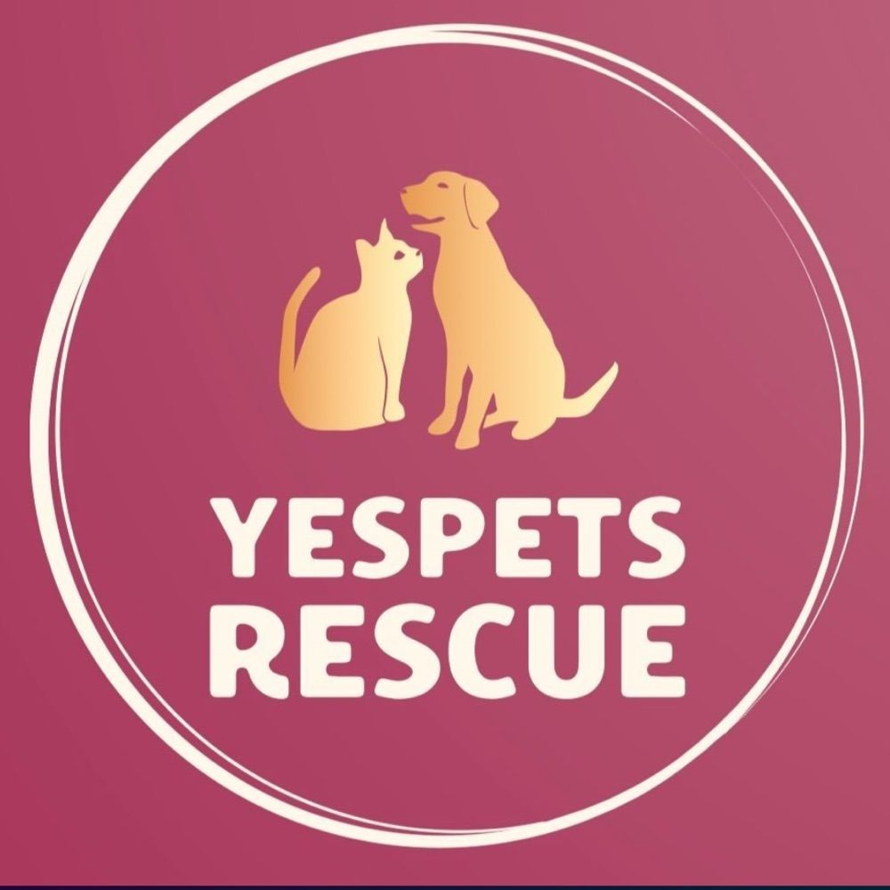 Yespets Rescue