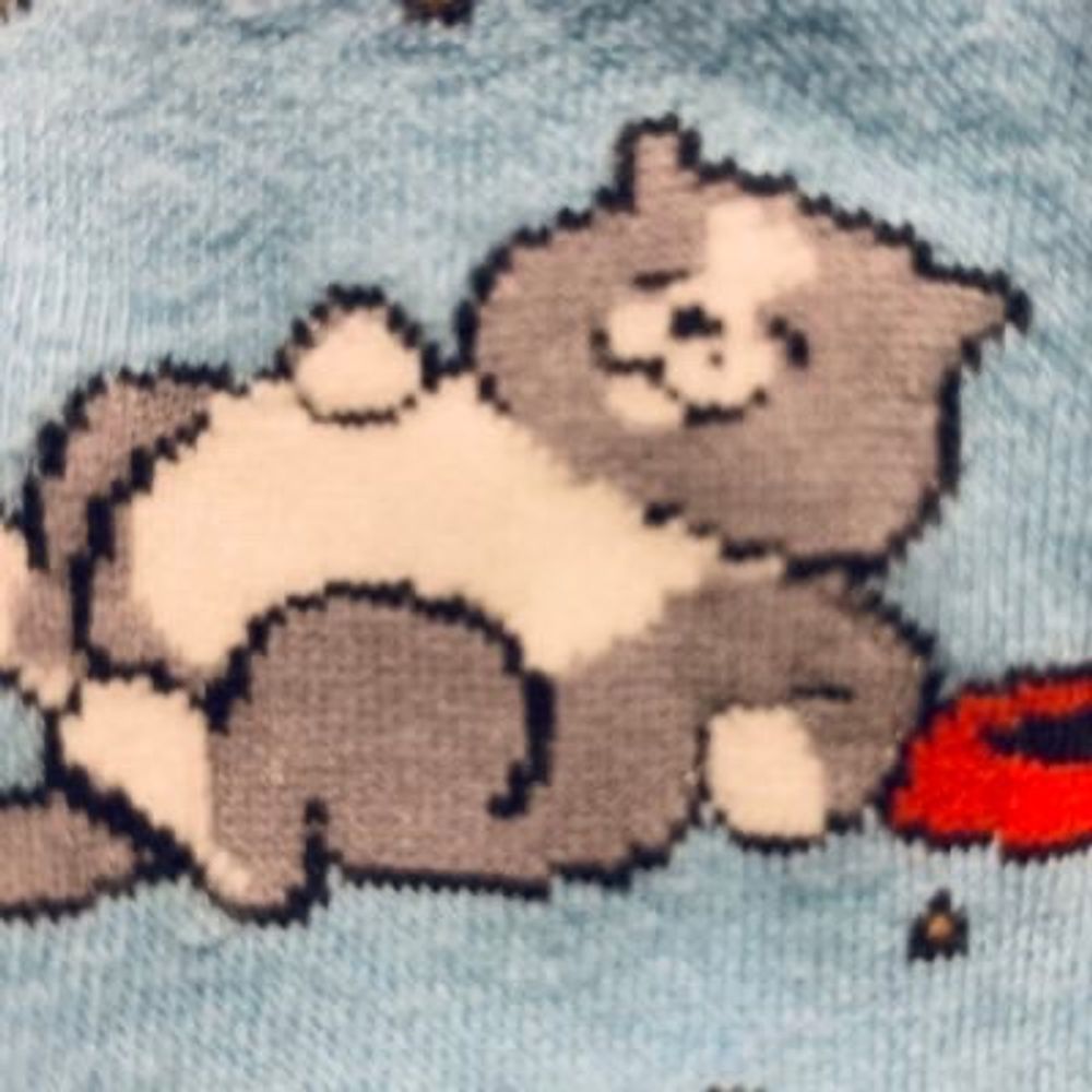 たぬ