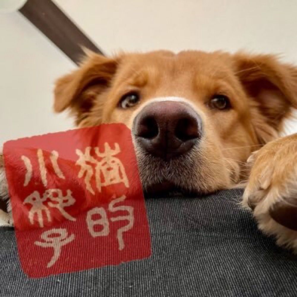 猹的小耗子