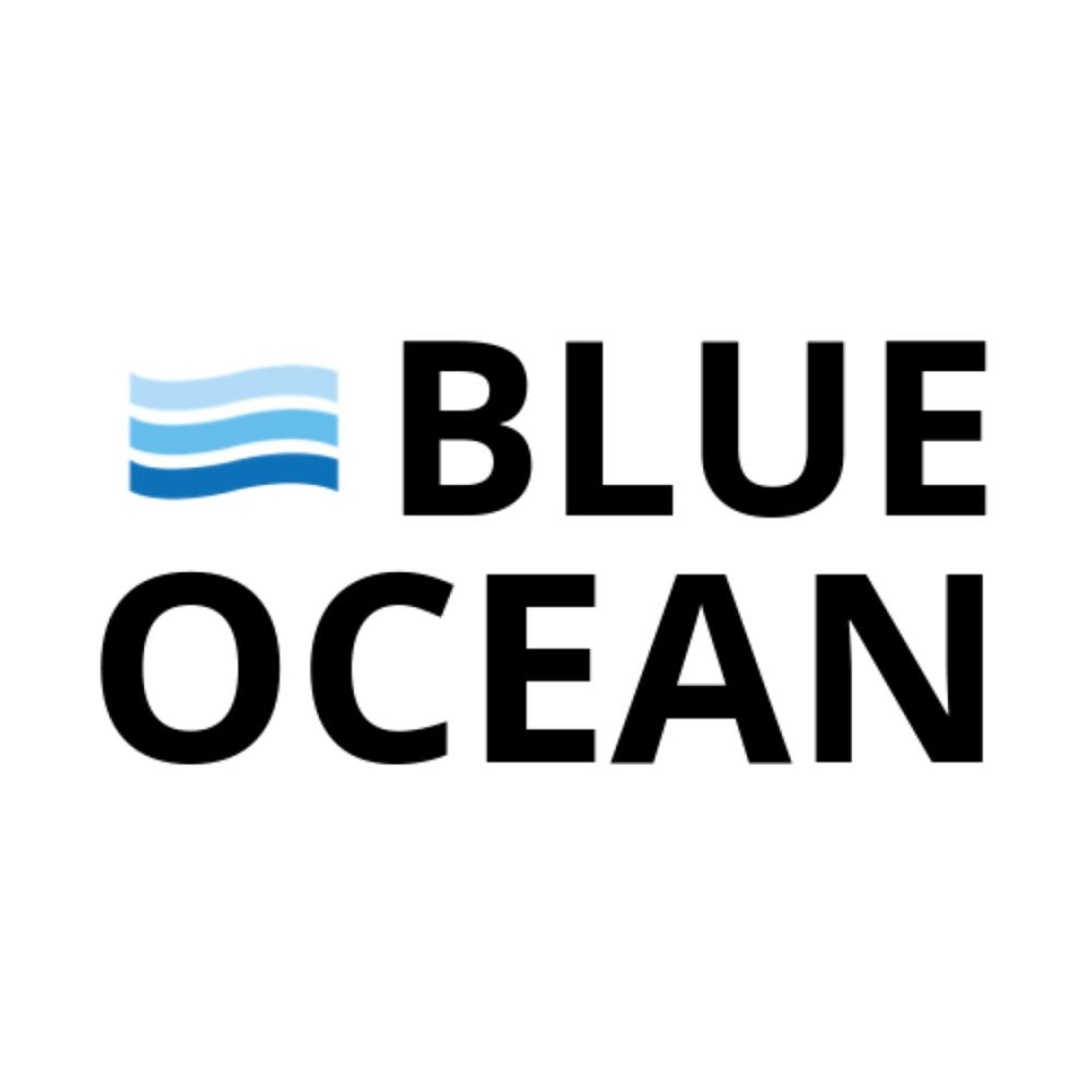 Blue Ocean Strategy