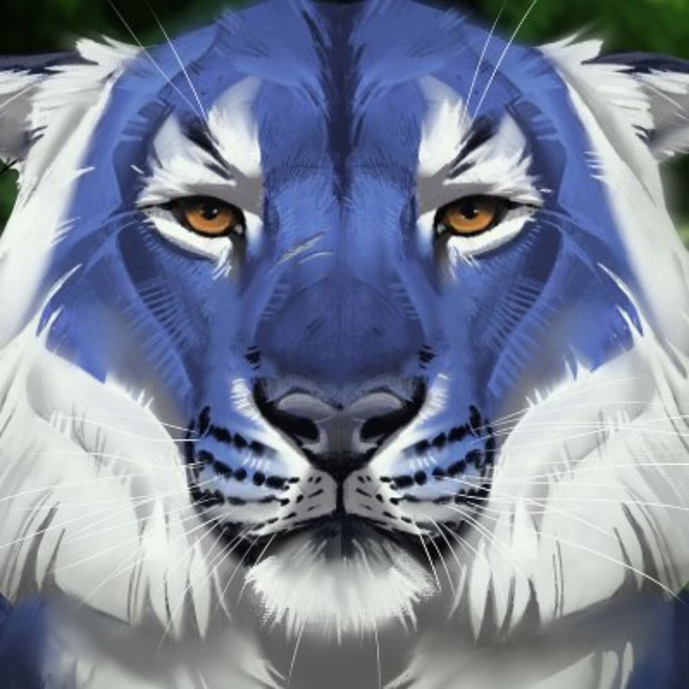 Caraid's avatar