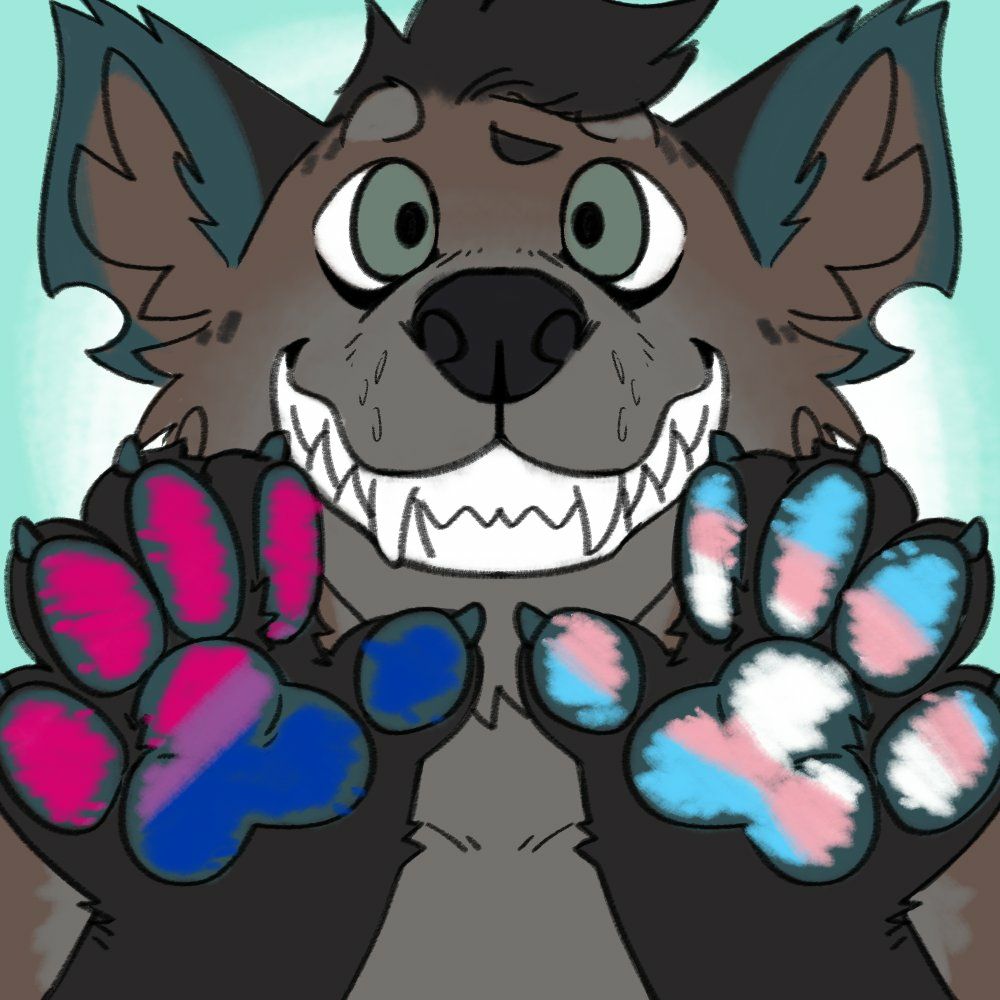 Domino Hyena 🏳️‍⚧️🍕🏳️‍⚧️'s avatar