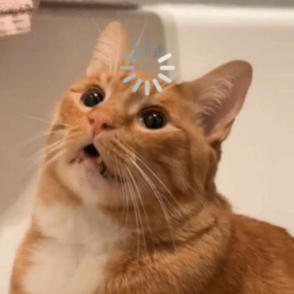 MaximumFluff