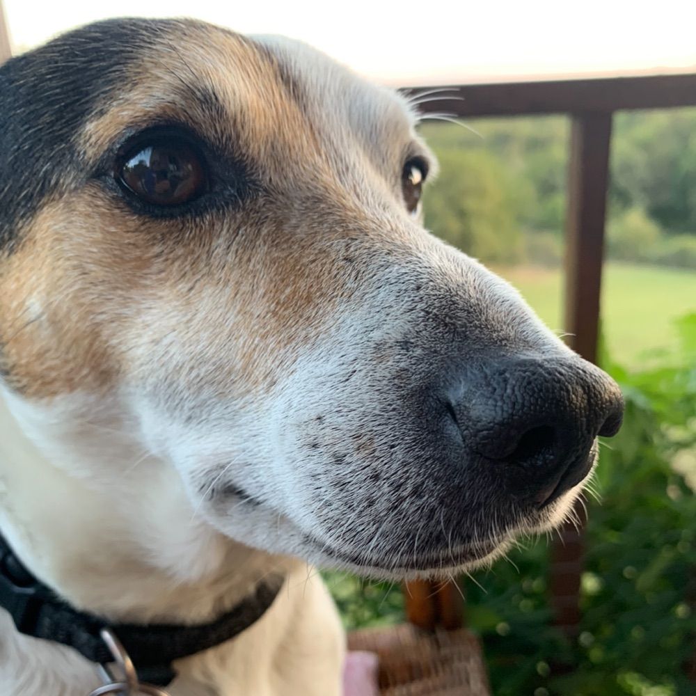 Fiona