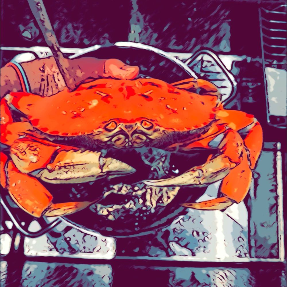 Kim Chee