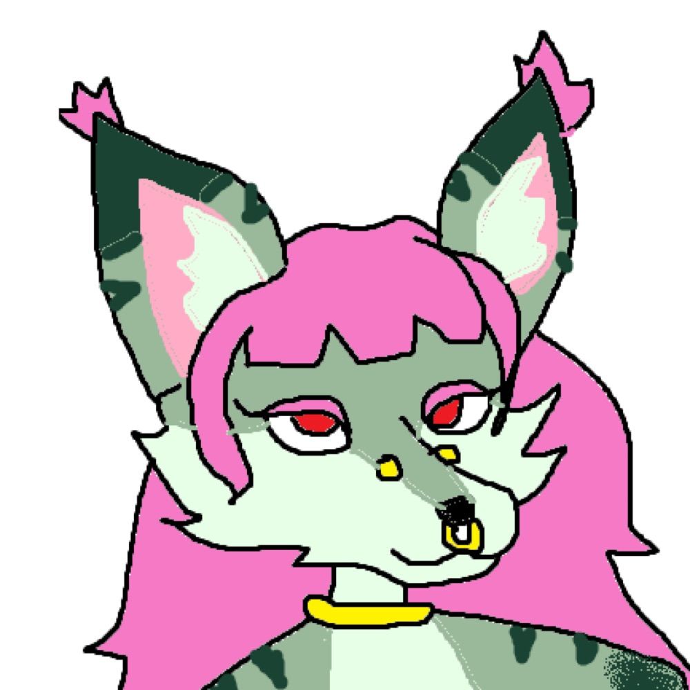 catcus cat 🍃 Venus