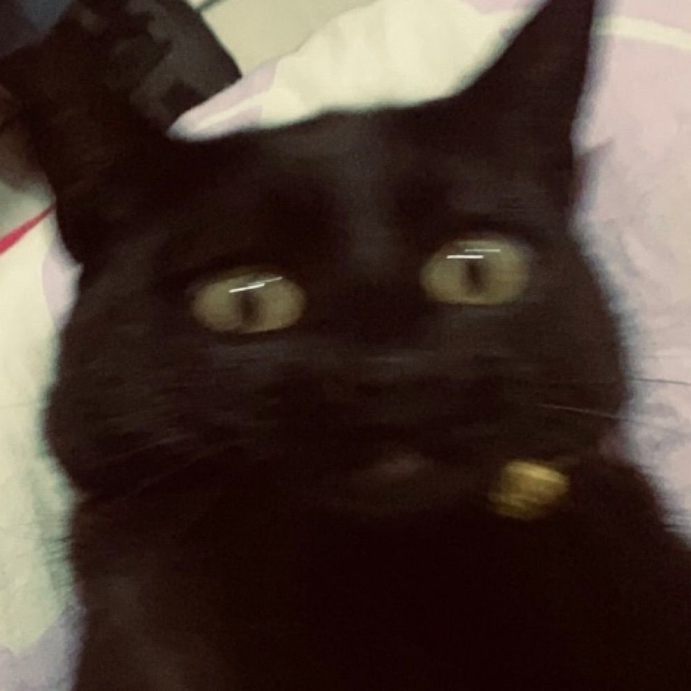 camy