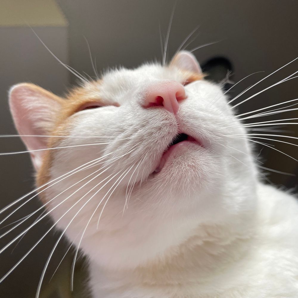 beether