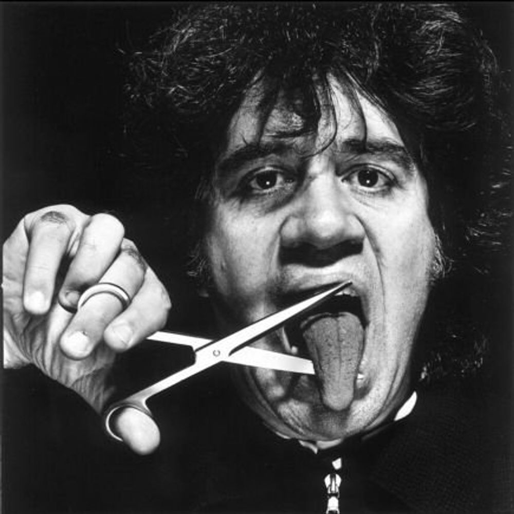 Pedro l'âne Vert