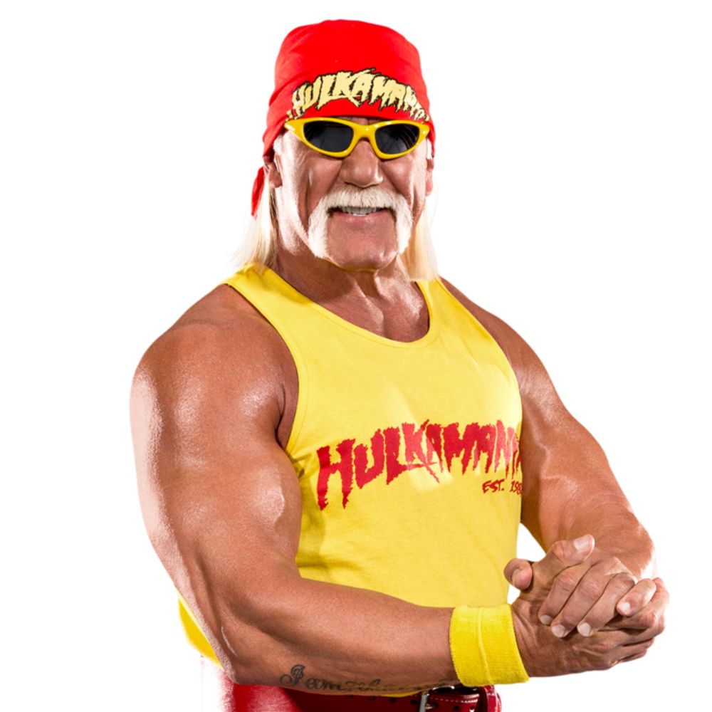HULKHOGANOFFICIAL