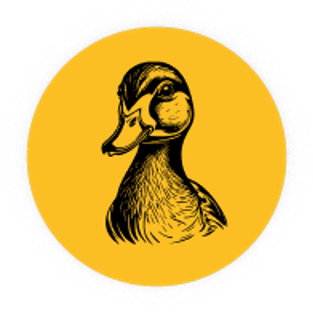 Learning DuckDB