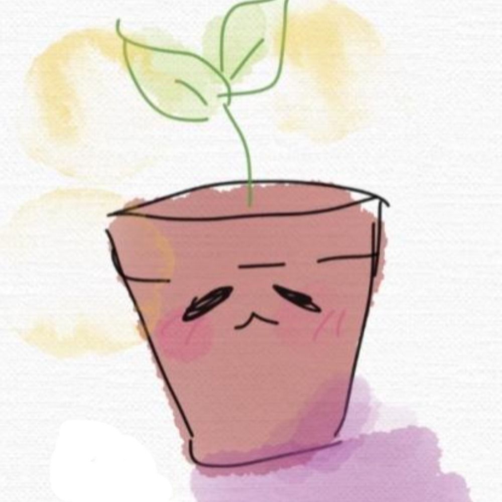 raiying🌱