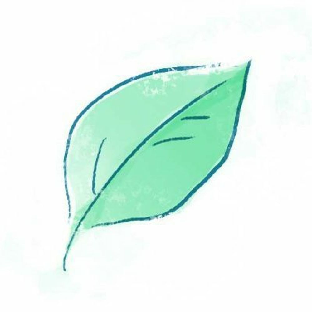 茶の葉