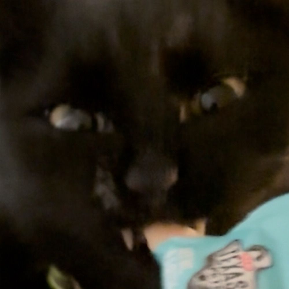⁭