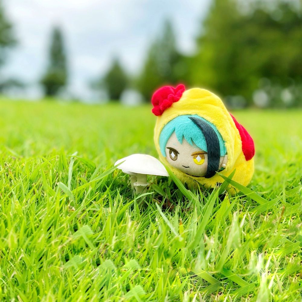 おむらいす