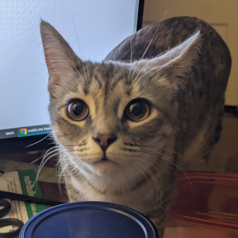 MrDoug