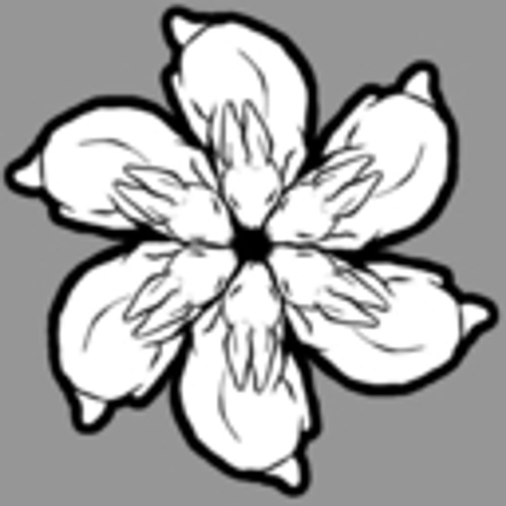 Everbem Creata