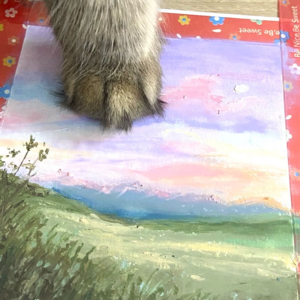 Pastelspanacea 