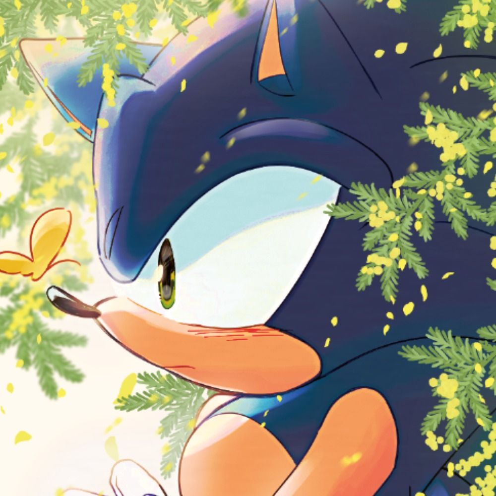 SonicFanGamer