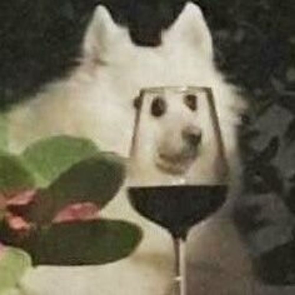 김조
