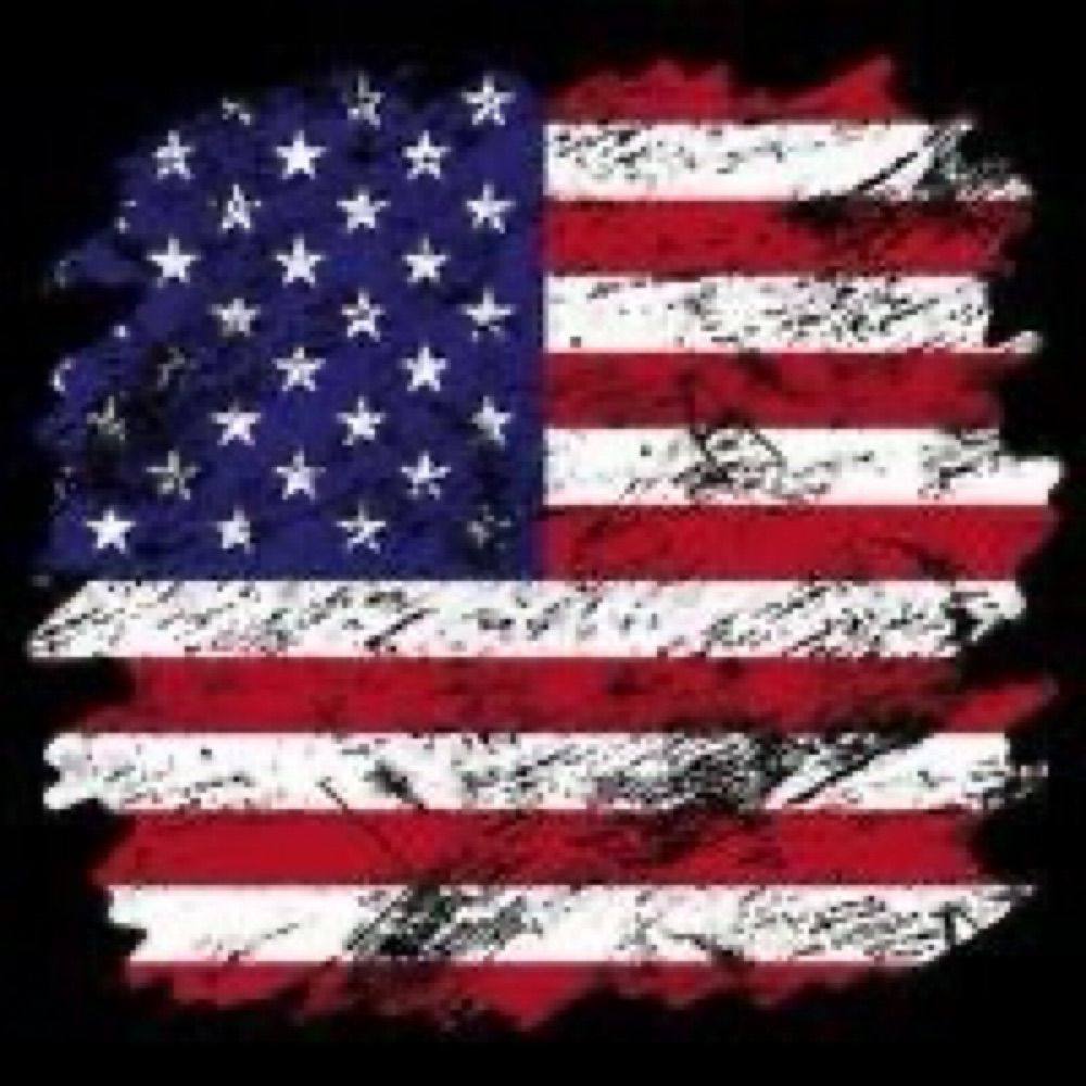 Art Network USA