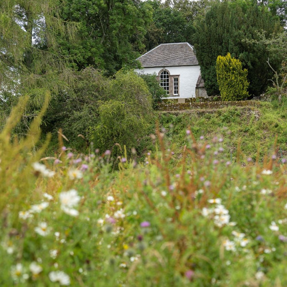 Library of Innerpeffray's avatar