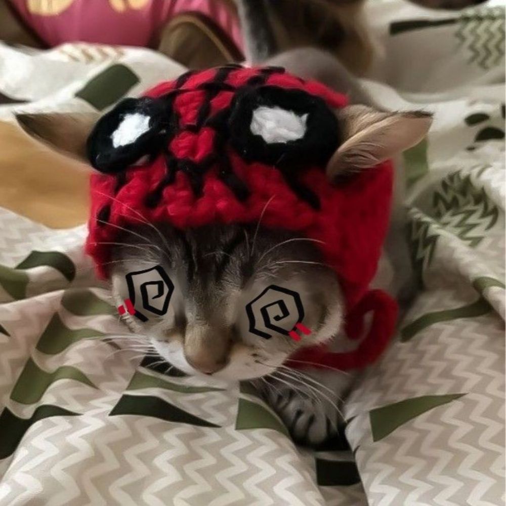 𝗻𝘂𝘃𝘃𝗲𝗻 ˙.⊹🌙⃟🕷