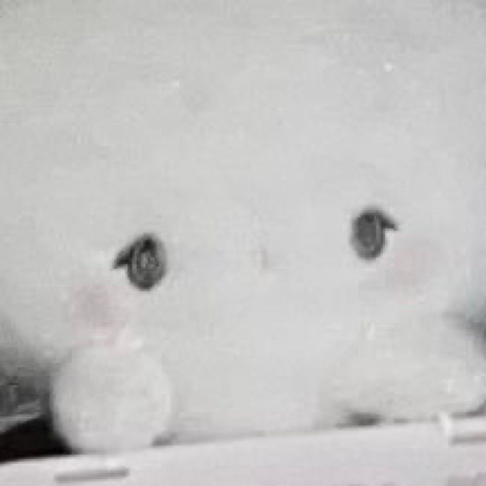 しう