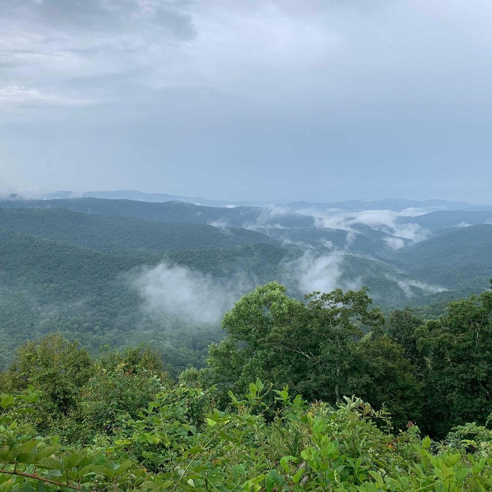 Blowing Rock Persisters