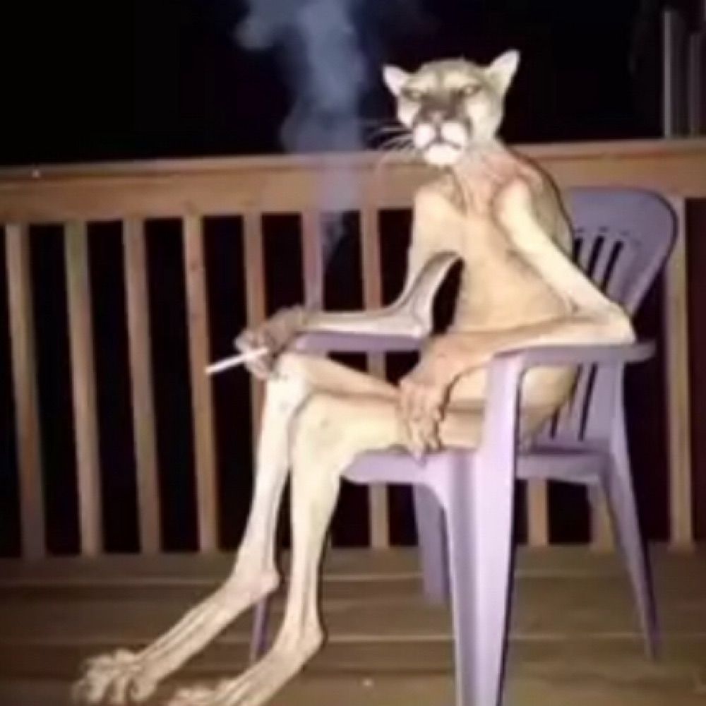 Nana🤍