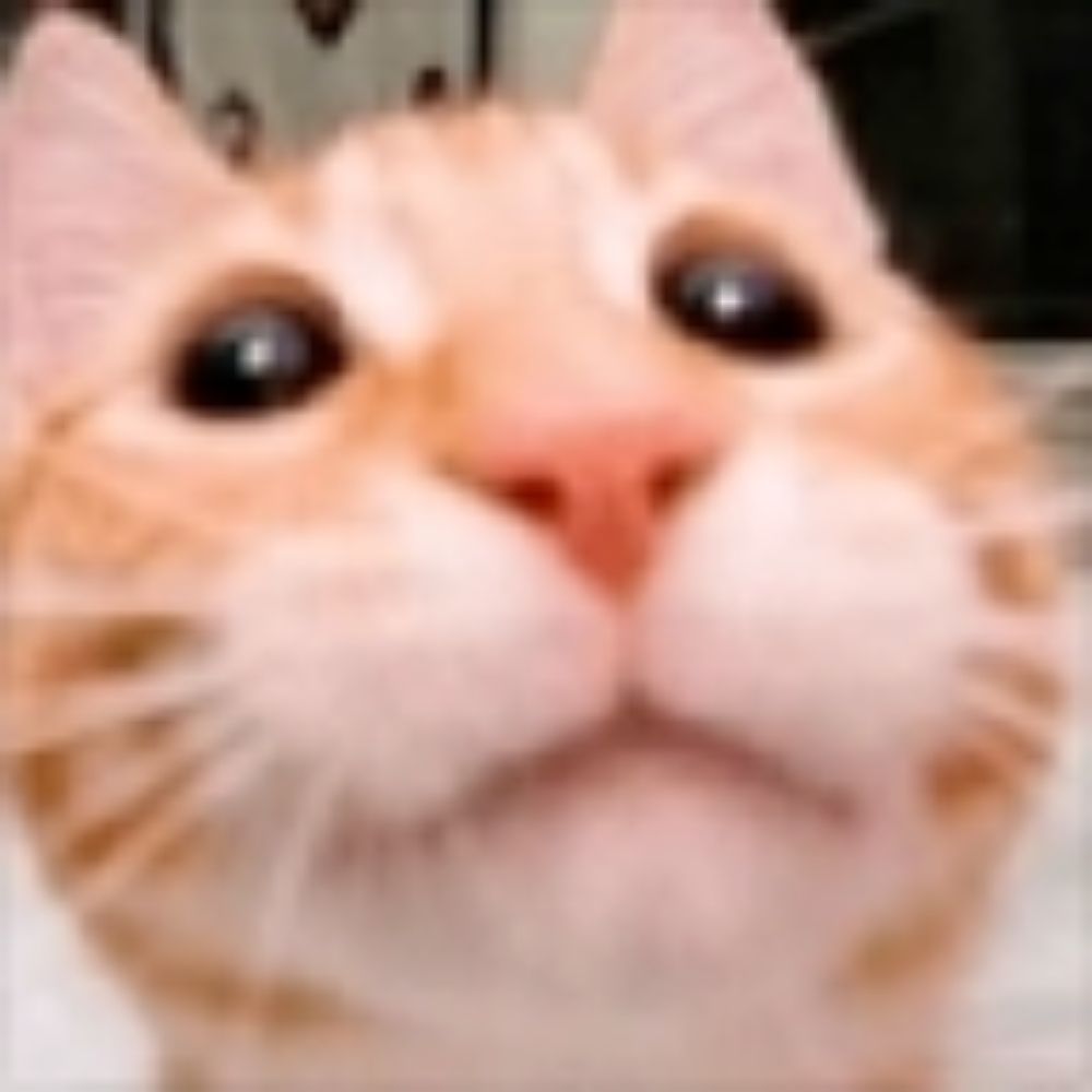 VincentRPS