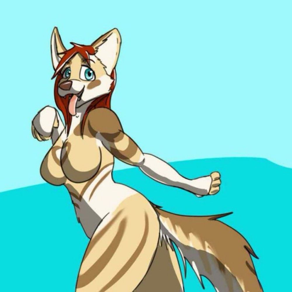 Valley Sheppy