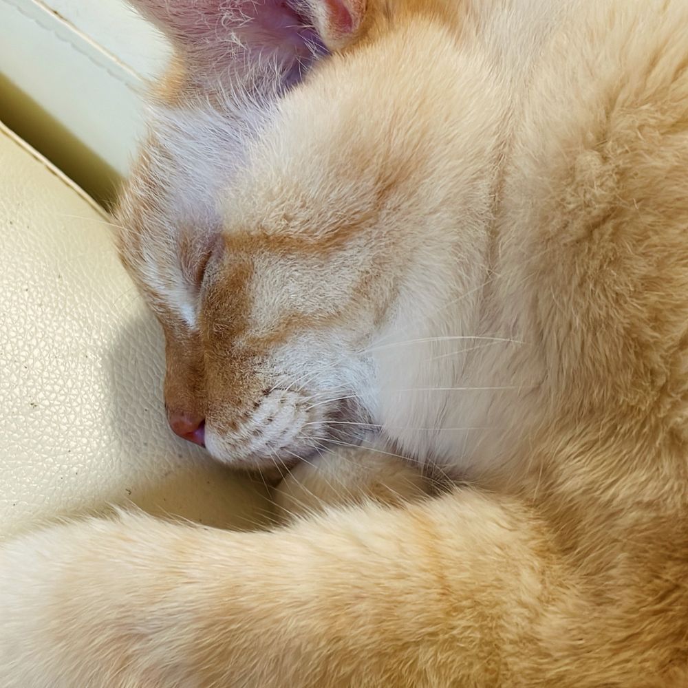 マチカ