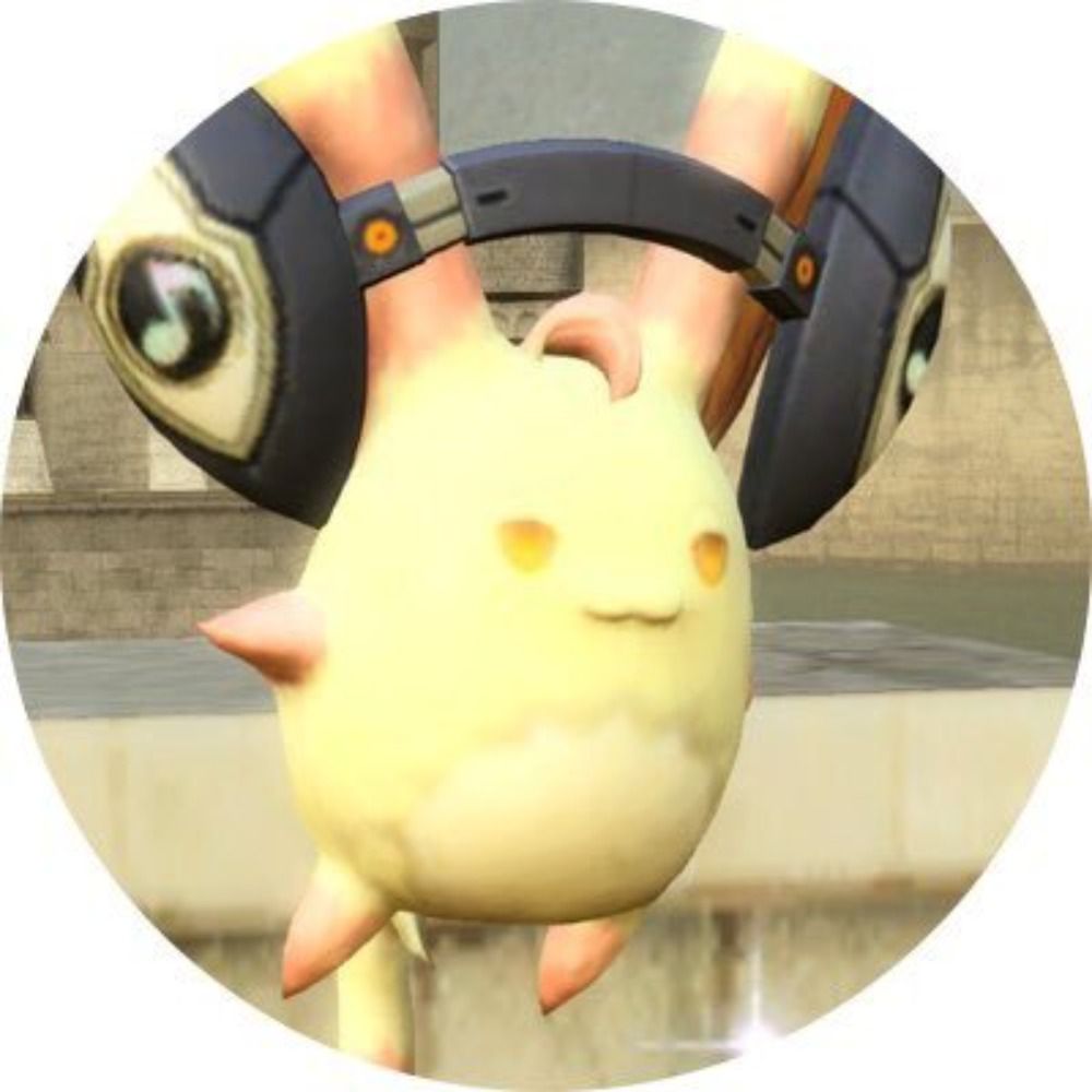 きょろ