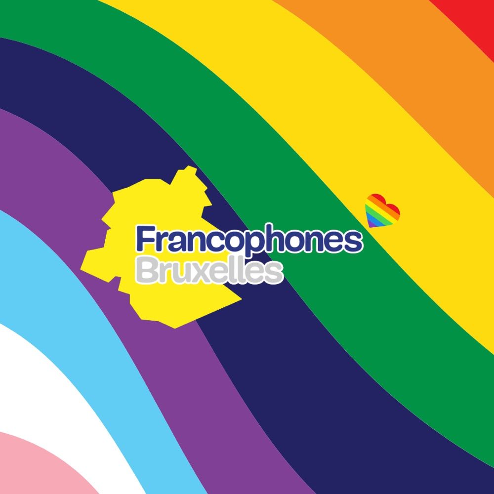 Commission communautaire française (COCOF)